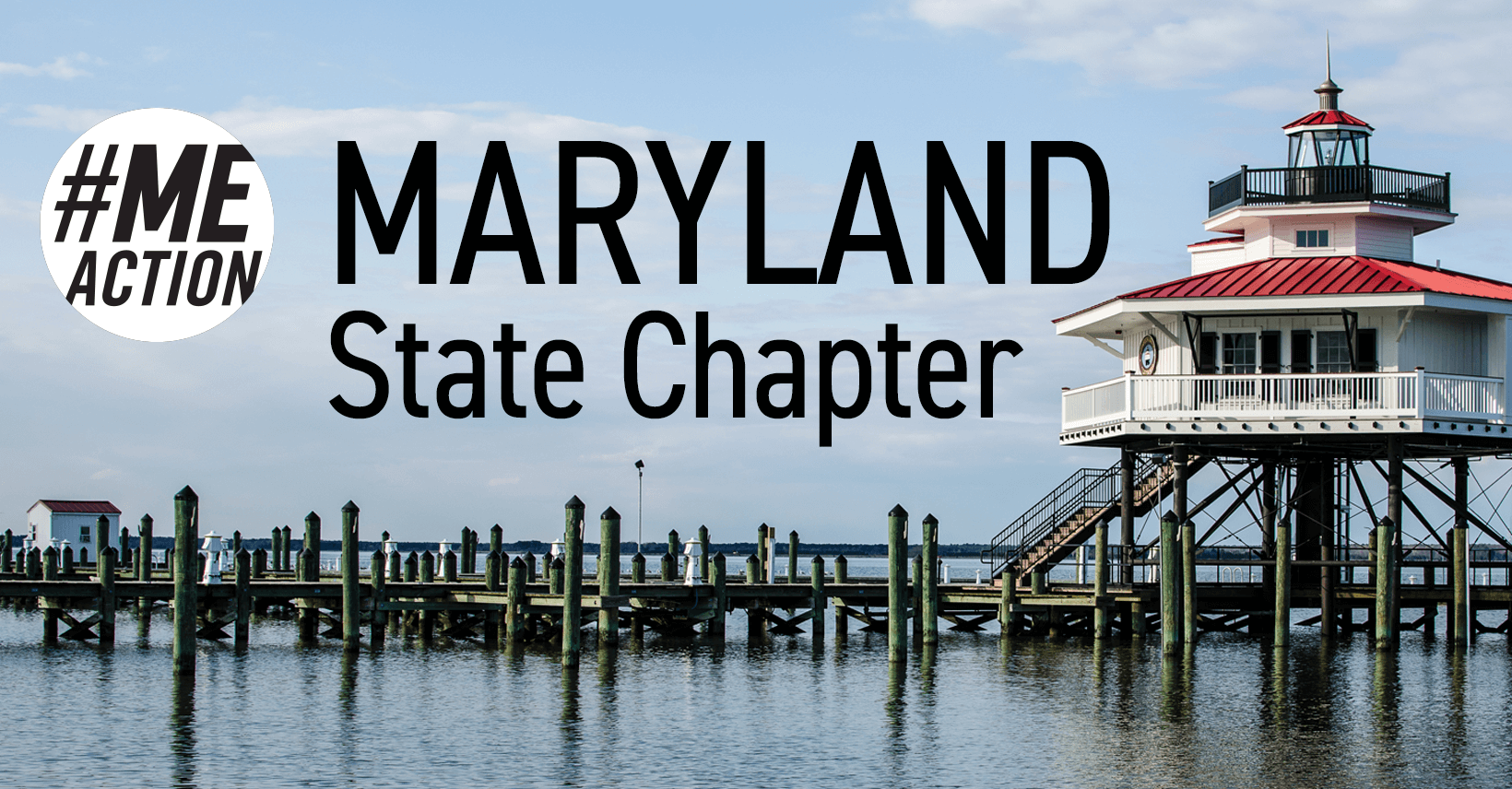 An image of a Marland lighthouse and pier with the #MEACTION white circle logo and black text. Maryland State Chapter is written in black text.