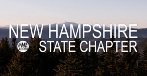 The words New Hampshire State Chapter written over a scene with pine trees and mountains in the background
