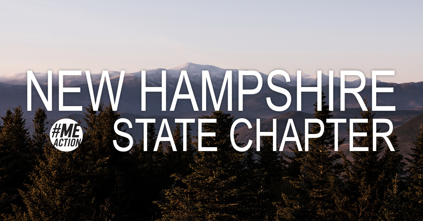 The words New Hampshire State Chapter written over a scene with pine trees and mountains in the background