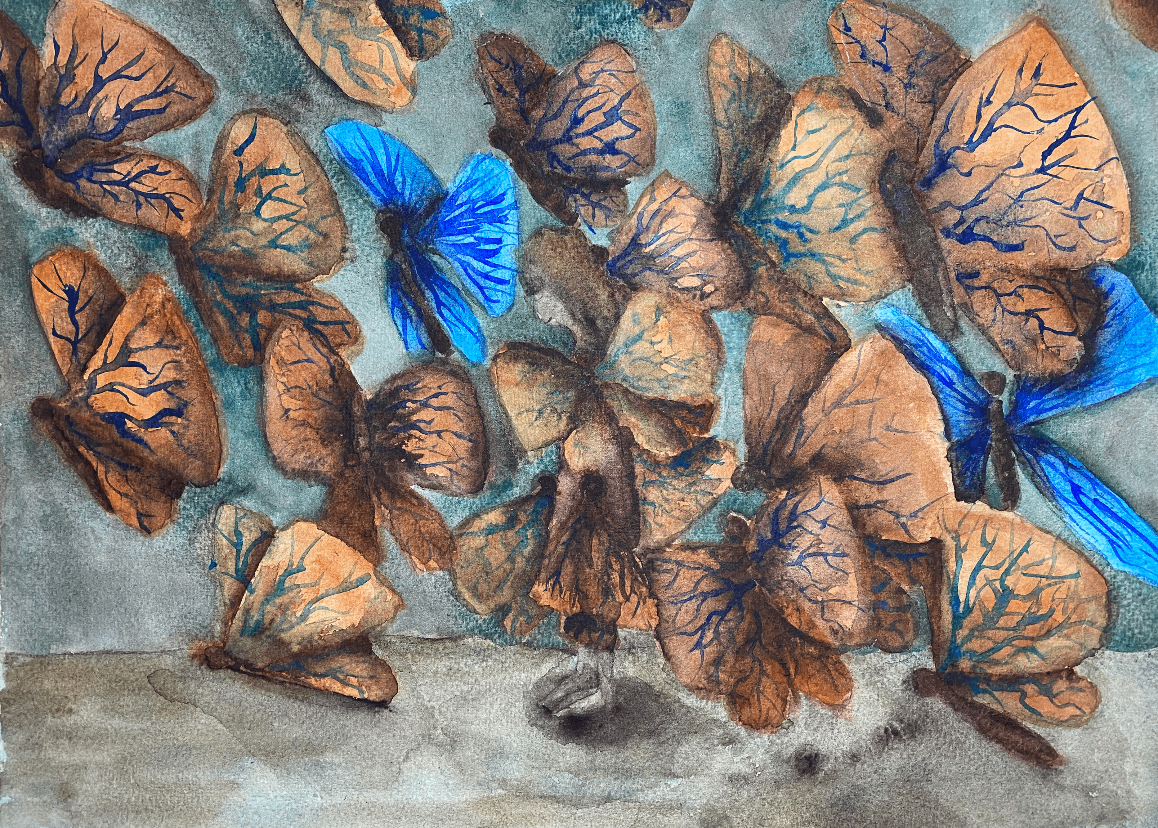 Brown and blue butterflies