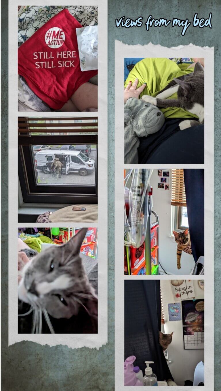 Collage of photos "views from my bed"