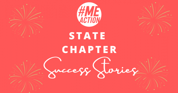 red rectangle image with gold fireworks in each corner. #MEAction logo and the words, "State Chapter Success Stories" in white font in the center.